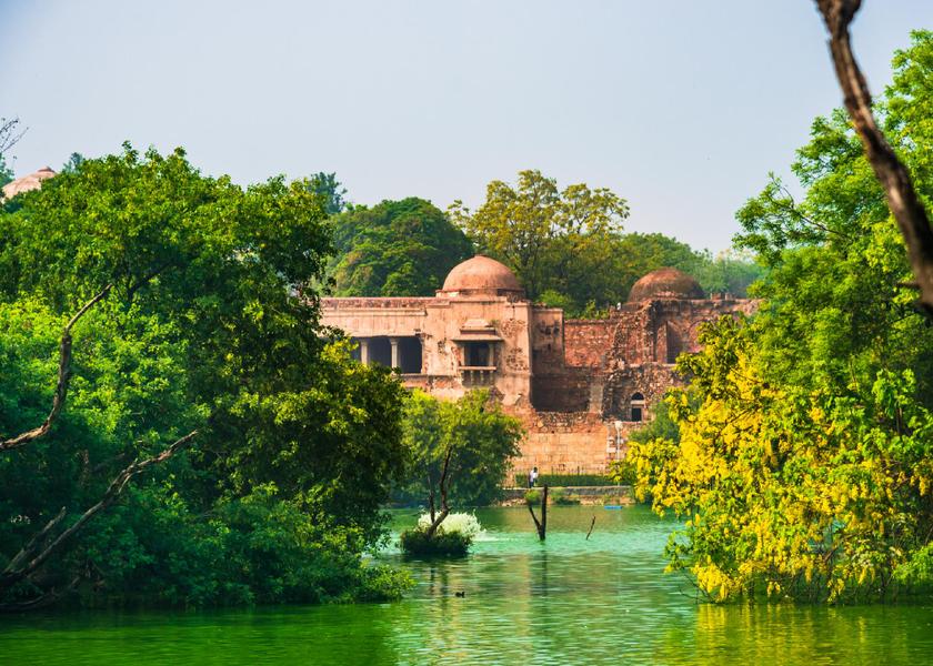 Delhi Delhi 