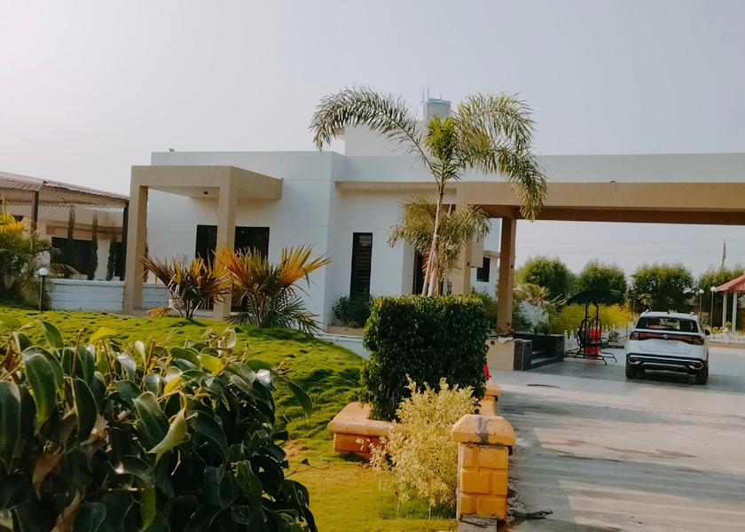 Gujarat Matar 
