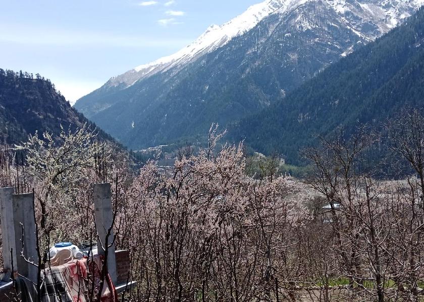 Himachal Pradesh Sangla 