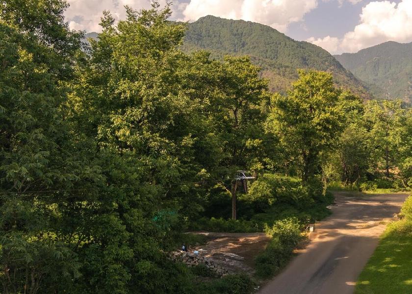 Himachal Pradesh Baijnath 