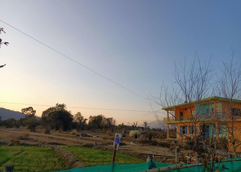Himachal Pradesh Palampur 
