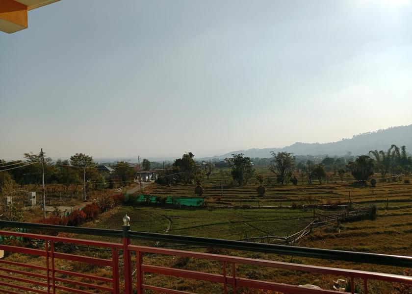 Himachal Pradesh Palampur 