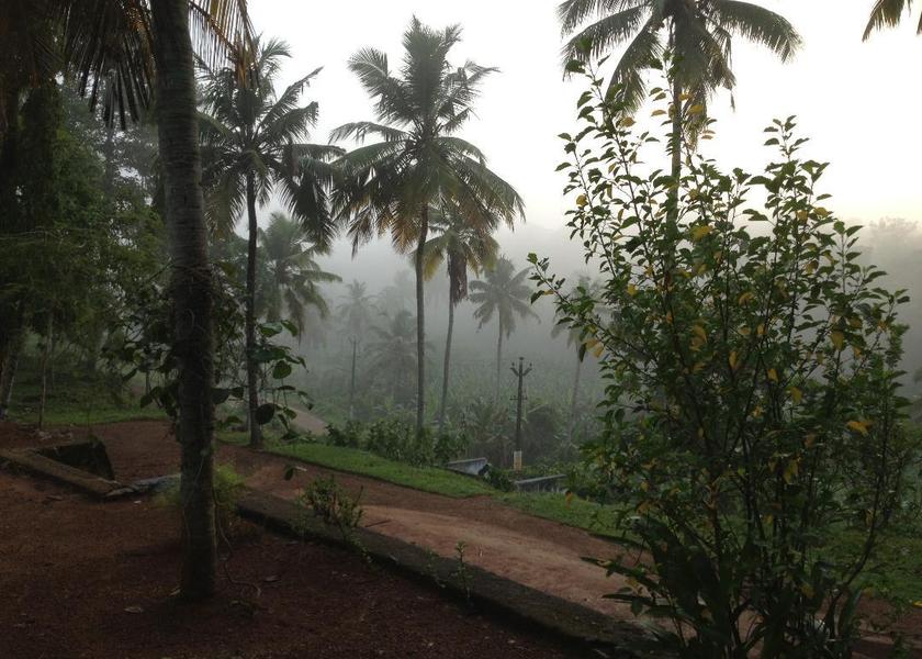 Kerala Pathanamthitta 