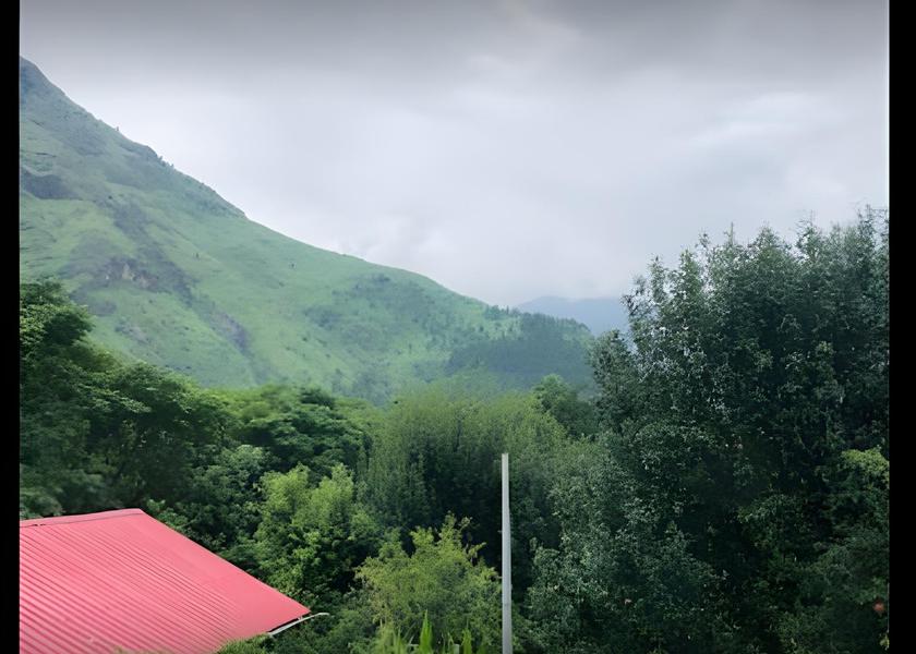 Himachal Pradesh Kullu 