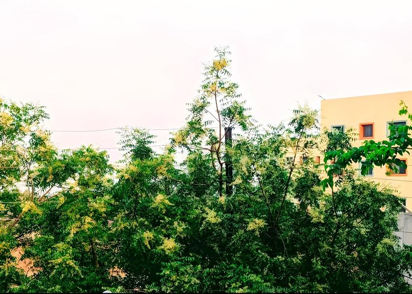 Uttar Pradesh Mathura 