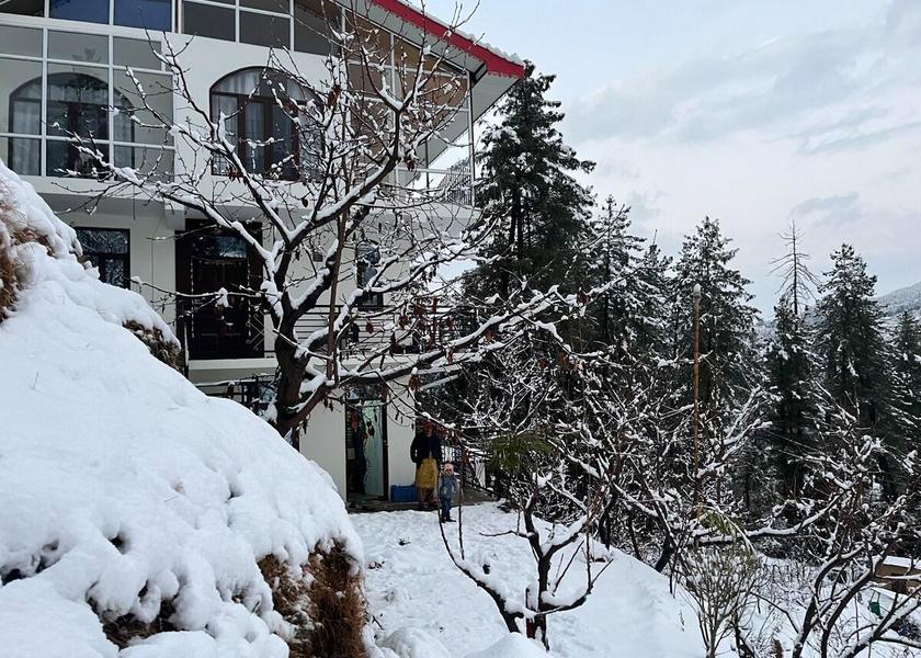 Himachal Pradesh Narkanda 