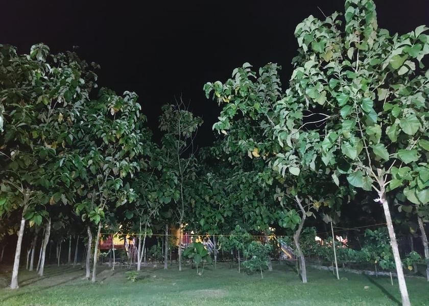 West Bengal Alipurduar 