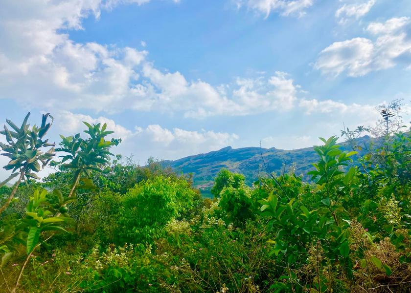 Kerala Vagamon 