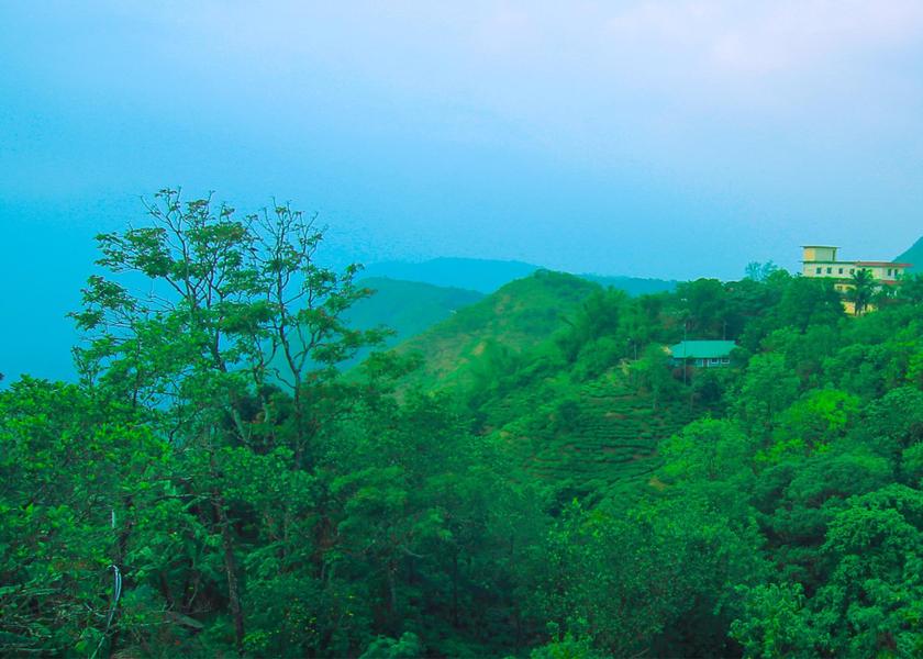 Kerala Vagamon View