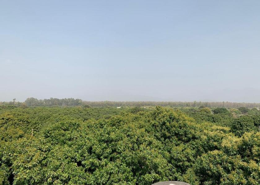 Uttarakhand Haridwar 