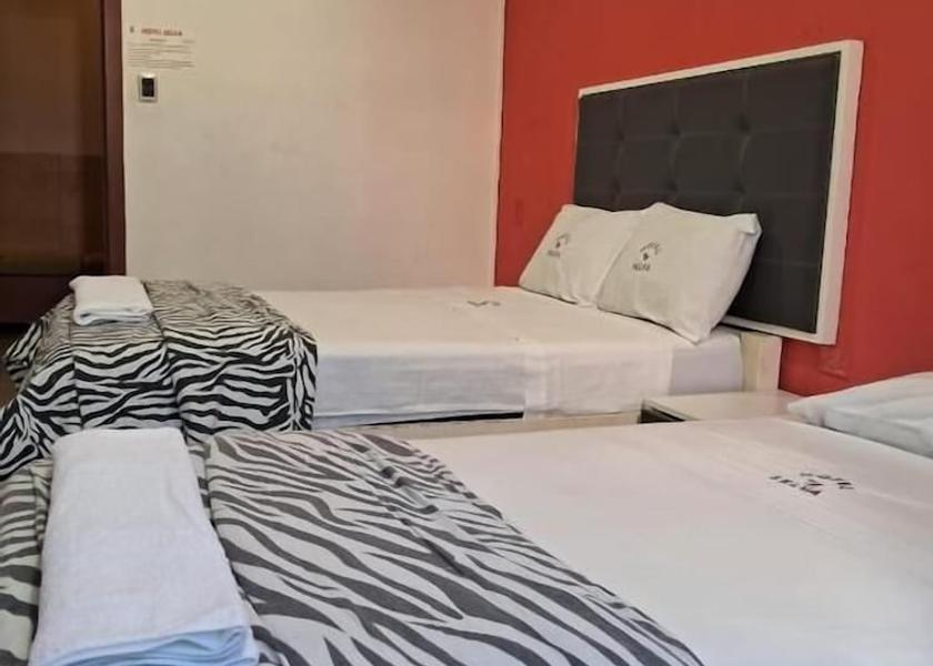 Loreto Region Iquitos Spa