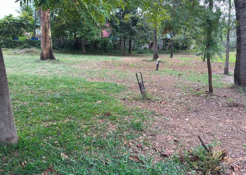 Arusha Region Lake Manyara National Park Property grounds