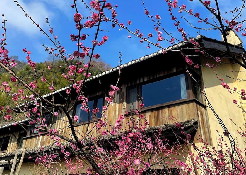 Zhejiang Huzhou Room