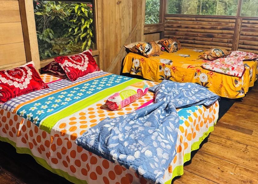Pichincha Mindo Room