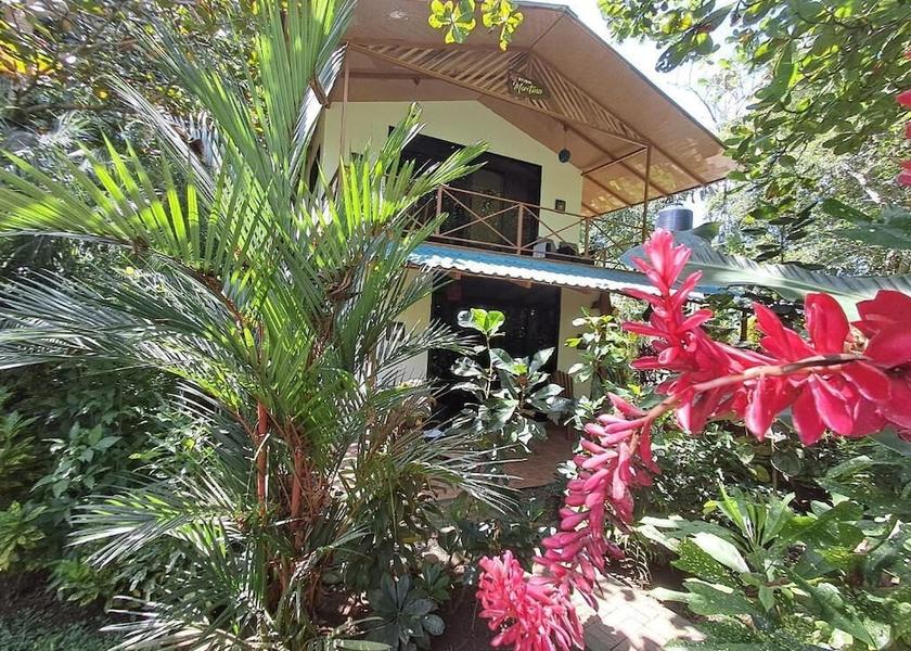 Limón Province Cahuita Exterior