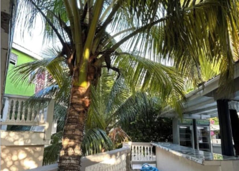  Gros Islet Bar (on property)