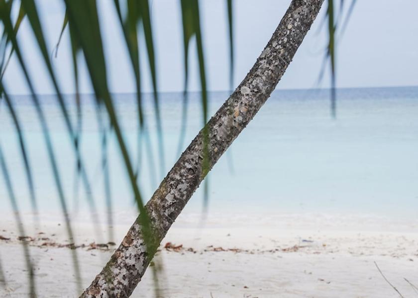 North Ari Atoll Rasdhoo Beach