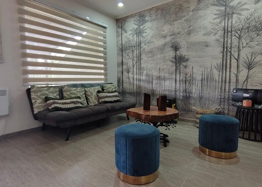 Araucanía Region Pucón Interior