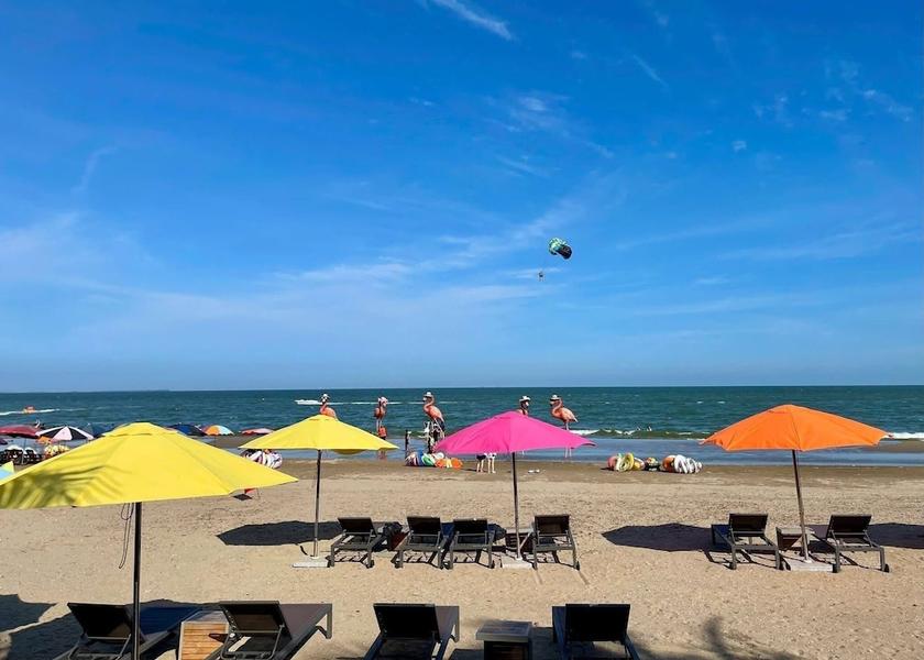 Thanh Hóa Province Hoang Hoa Beach