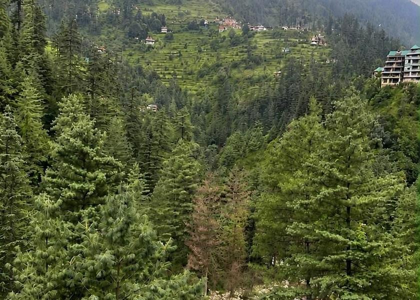 Himachal Pradesh Jibhi Exterior view