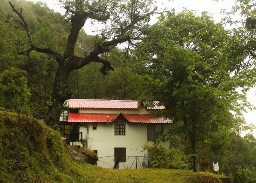 Uttarakhand Binsar 