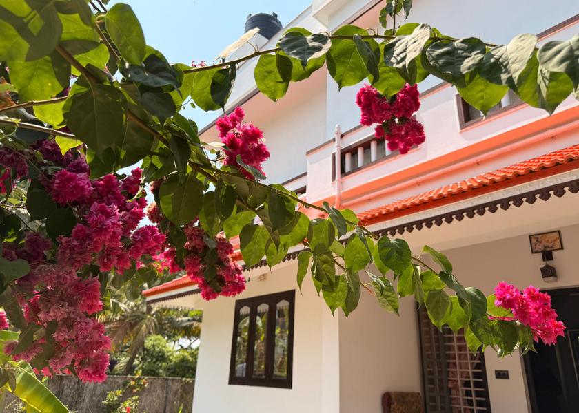 Kerala Cherthala Garden