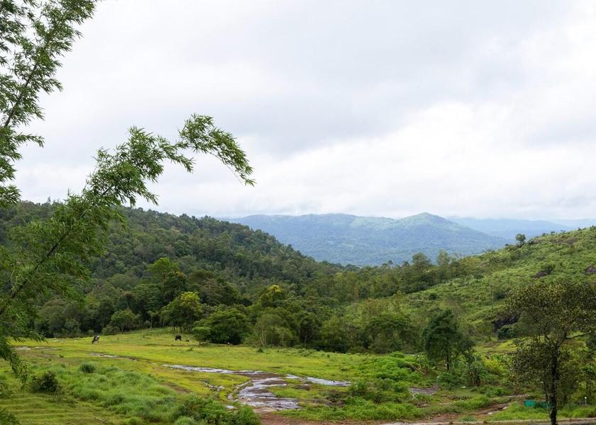 Kerala Idukki 