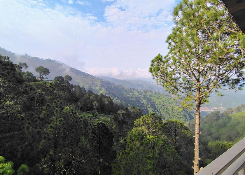 Himachal Pradesh Parwanoo 