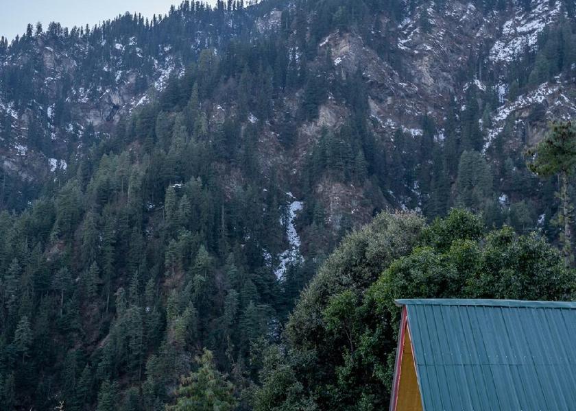 Himachal Pradesh Jibhi Exterior view