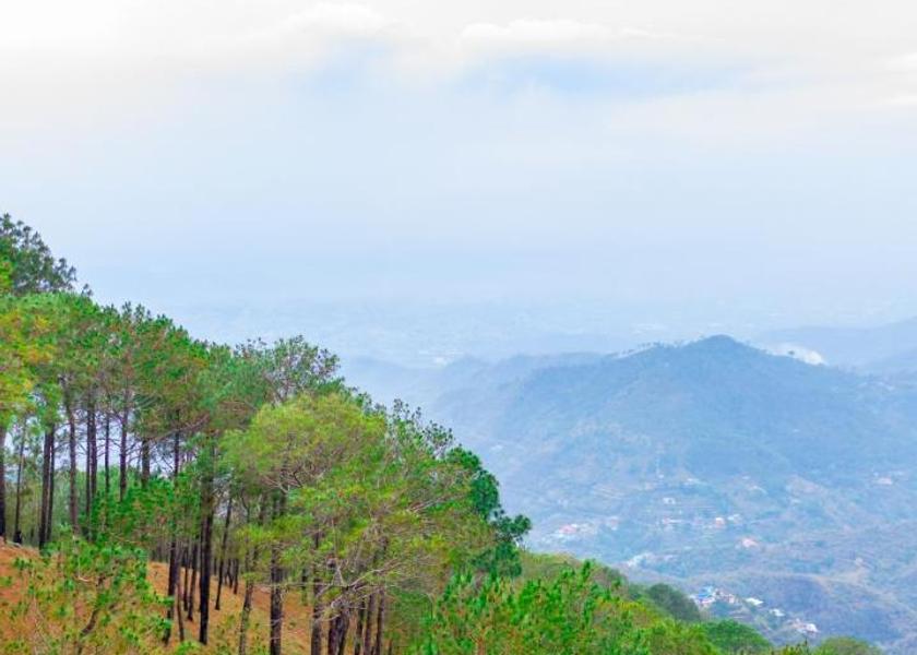 Himachal Pradesh Parwanoo 