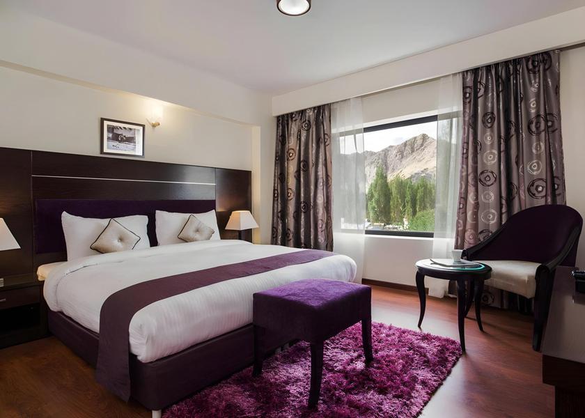 Ladakh Leh 