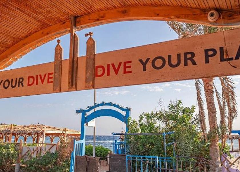 South Sinai Governorate Dahab Surrounding environment