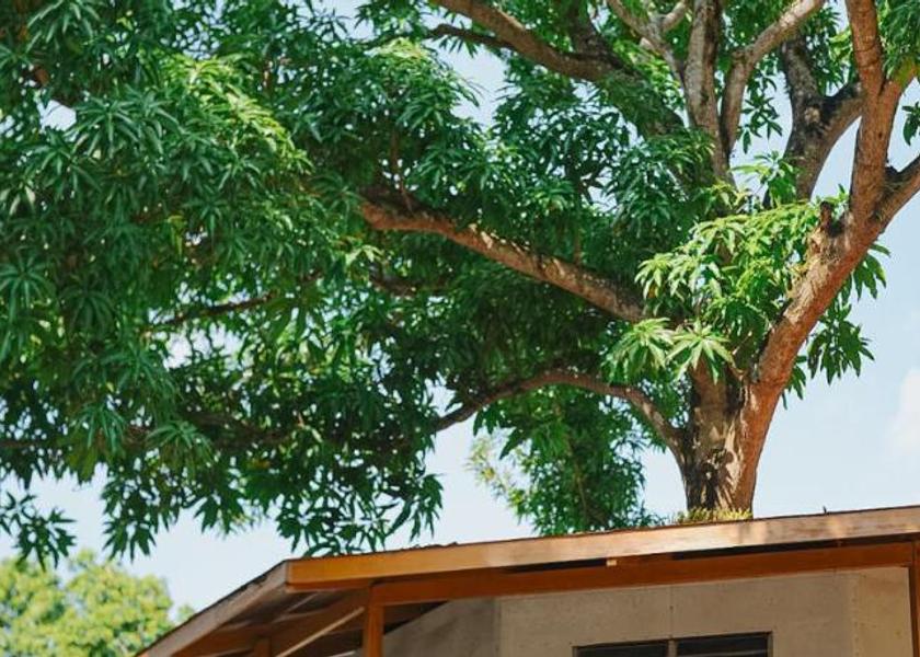 Calabarzon Antipolo 