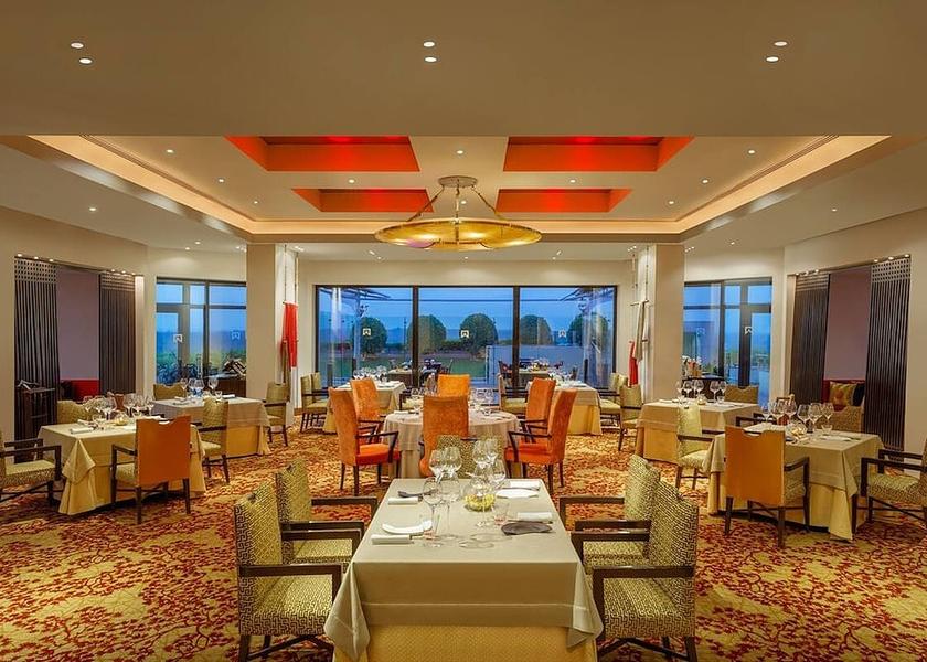 Delhi Delhi Food & Dining