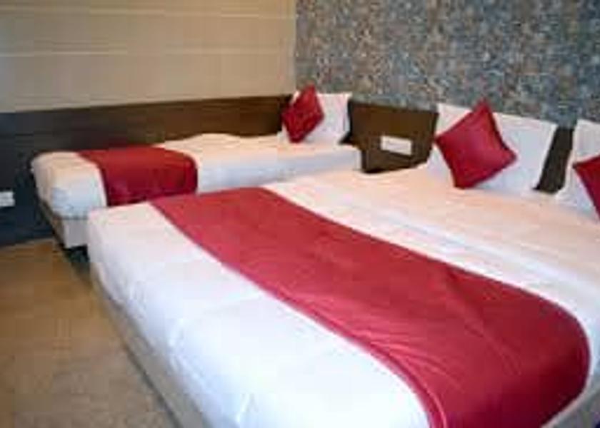 Rajasthan Nathdwara catwj
