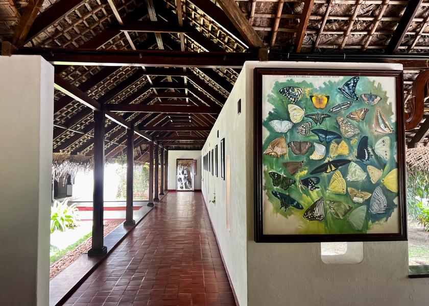 Kerala Mararikulam Public Areas