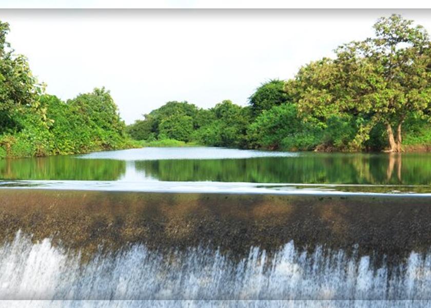 Gujarat Sasan Gir Hotel View