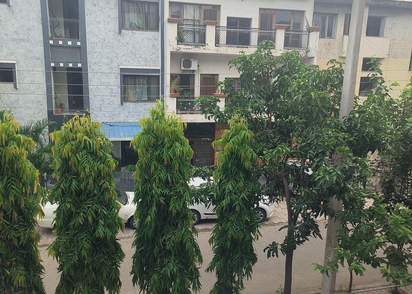 Punjab Chandigarh Hotel View