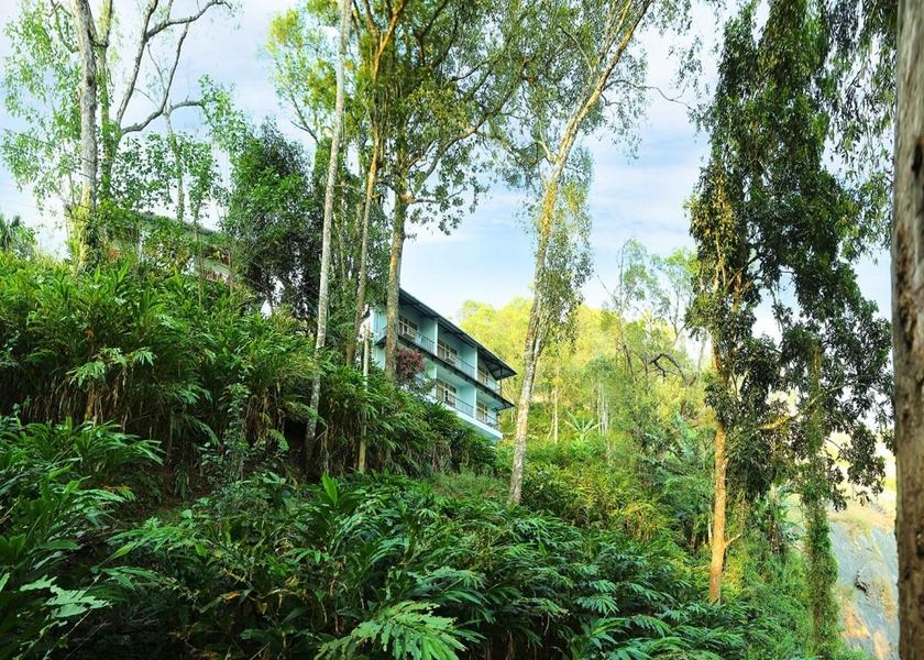 Kerala Munnar Outdoors