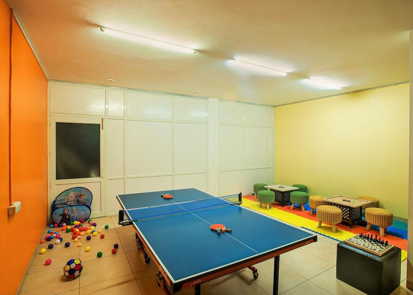 Himachal Pradesh Palampur Game room
