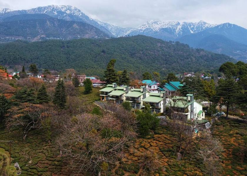 Himachal Pradesh Palampur Hotel View