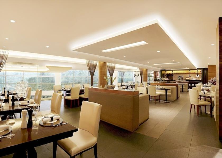 Gujarat Ahmedabad Restaurant