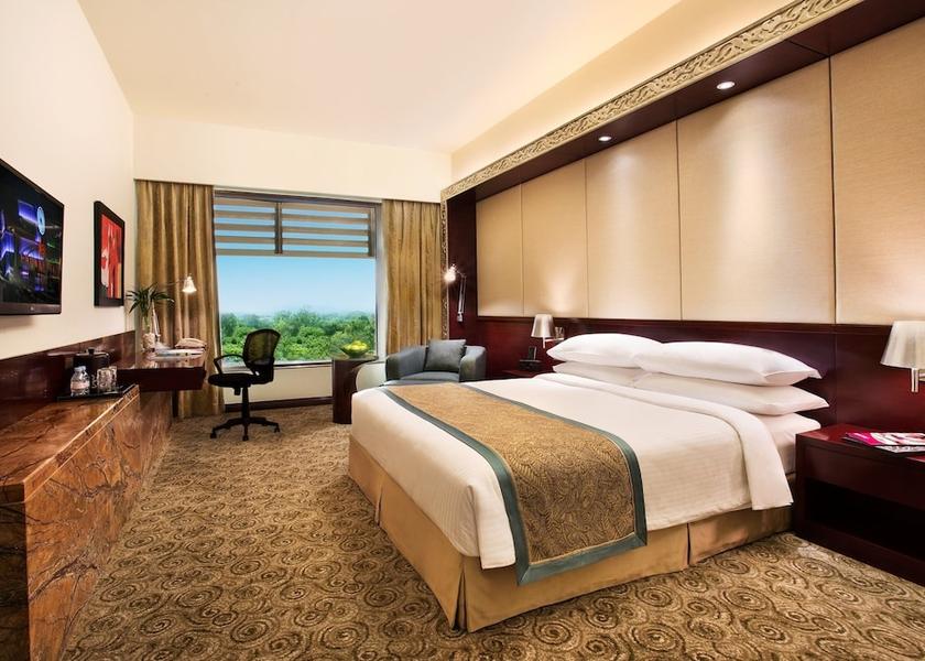 Gujarat Ahmedabad Room