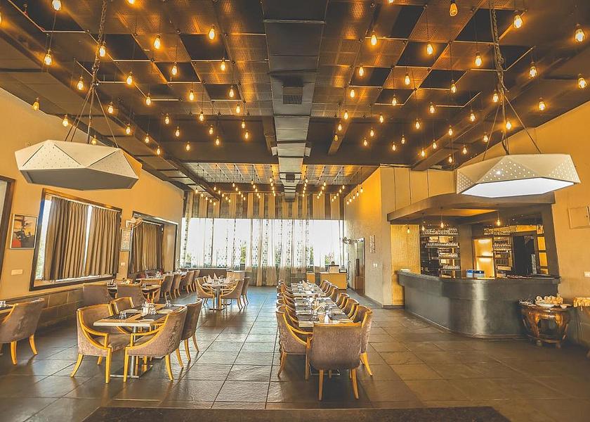 Rajasthan Udaipur Food & Dining