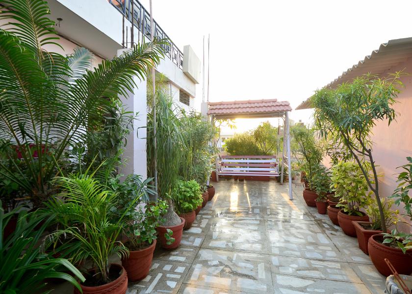 Rajasthan Jaipur Outdoors