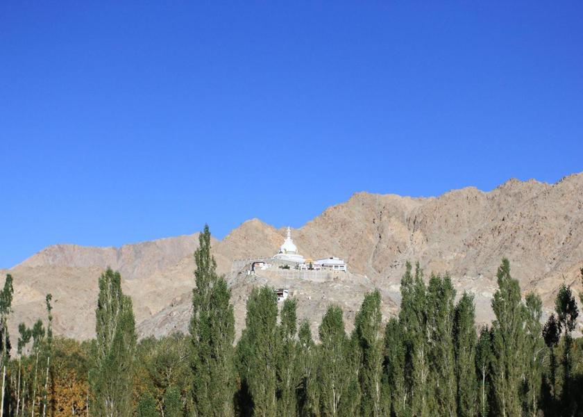 Ladakh Leh View