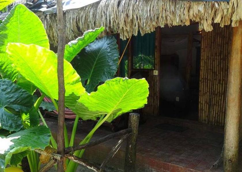 Andaman and Nicobar Havelock Island Hotel Exterior