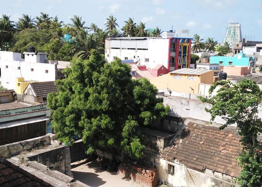 Exterior View