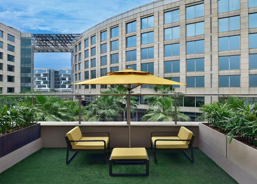 Delhi Delhi Terrace