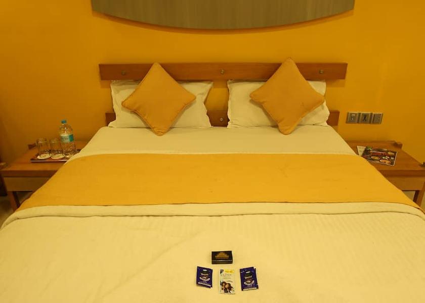 Maharashtra Kolhapur Deluxe AC Room